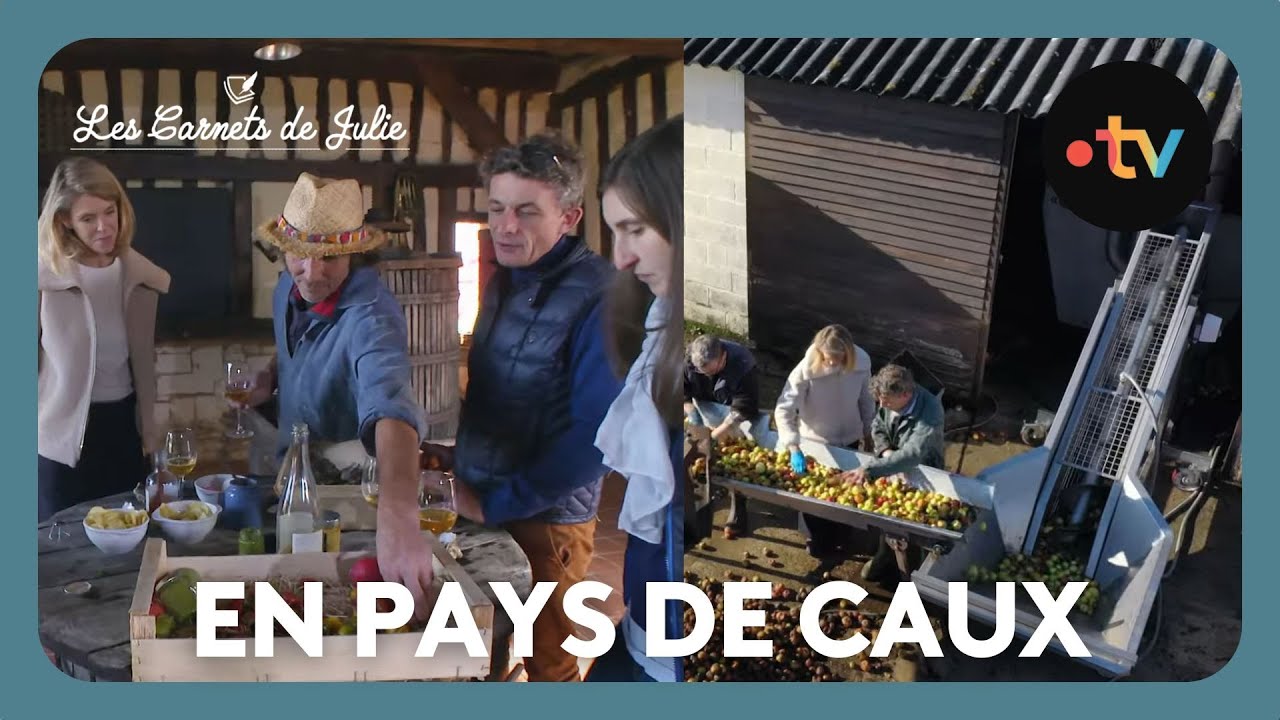 Paysans d’aujourd’hui en Pays de Caux - Les Carnets de Julie
