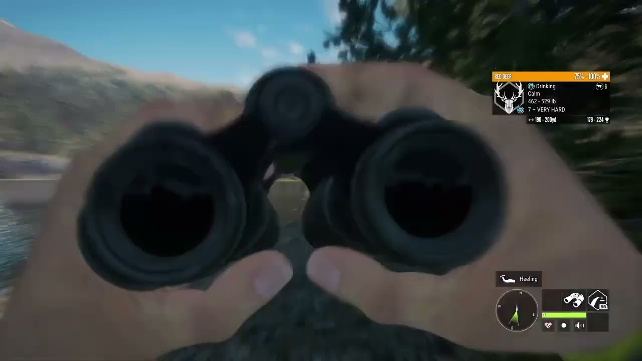 Hunter call of the wild 