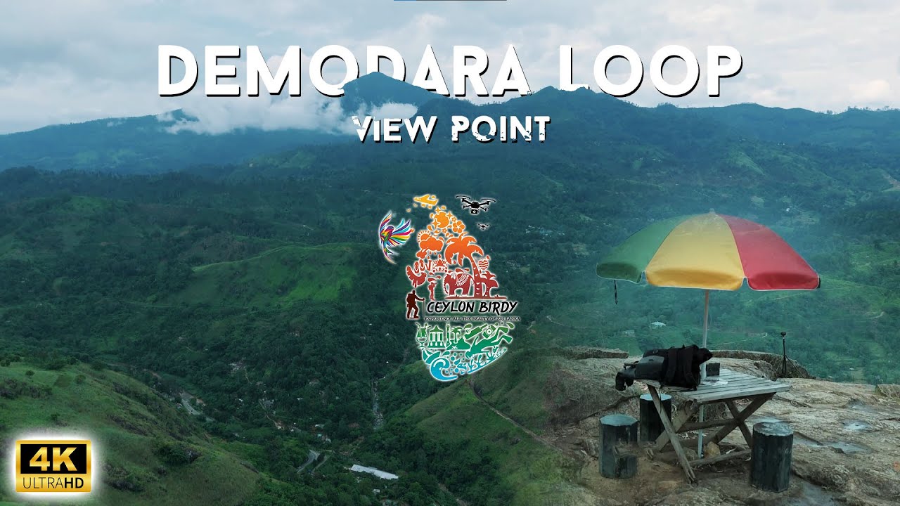 Relaxing Mountain Views at Demodara Loop Viewpoint | Ceylon Birdy | Relaxing Music | 4K