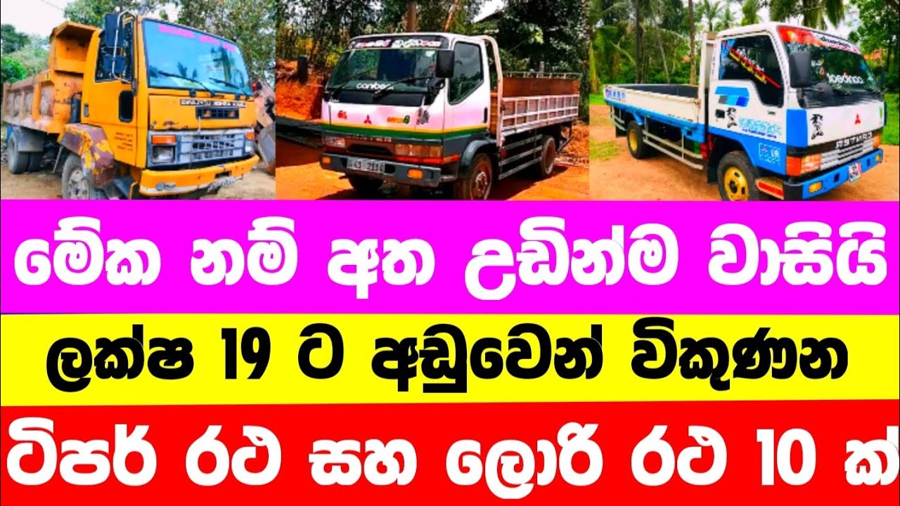 Vehicle for sale in Sri lanka | low price tipper for sale | tipper for sale | low budget vehicle