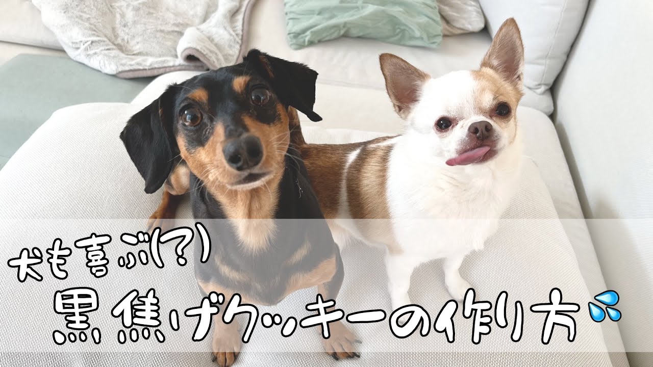犬のためにクッキー作ったら黒焦げになってつらい