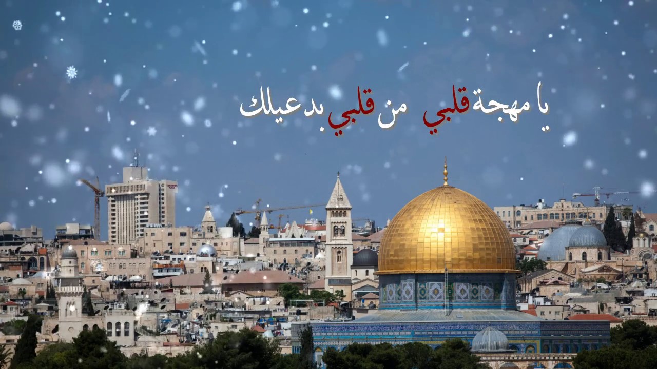 ودعتك يمّا وما أصعب رحيلك .... أغنية عن الشهداء - غناء 