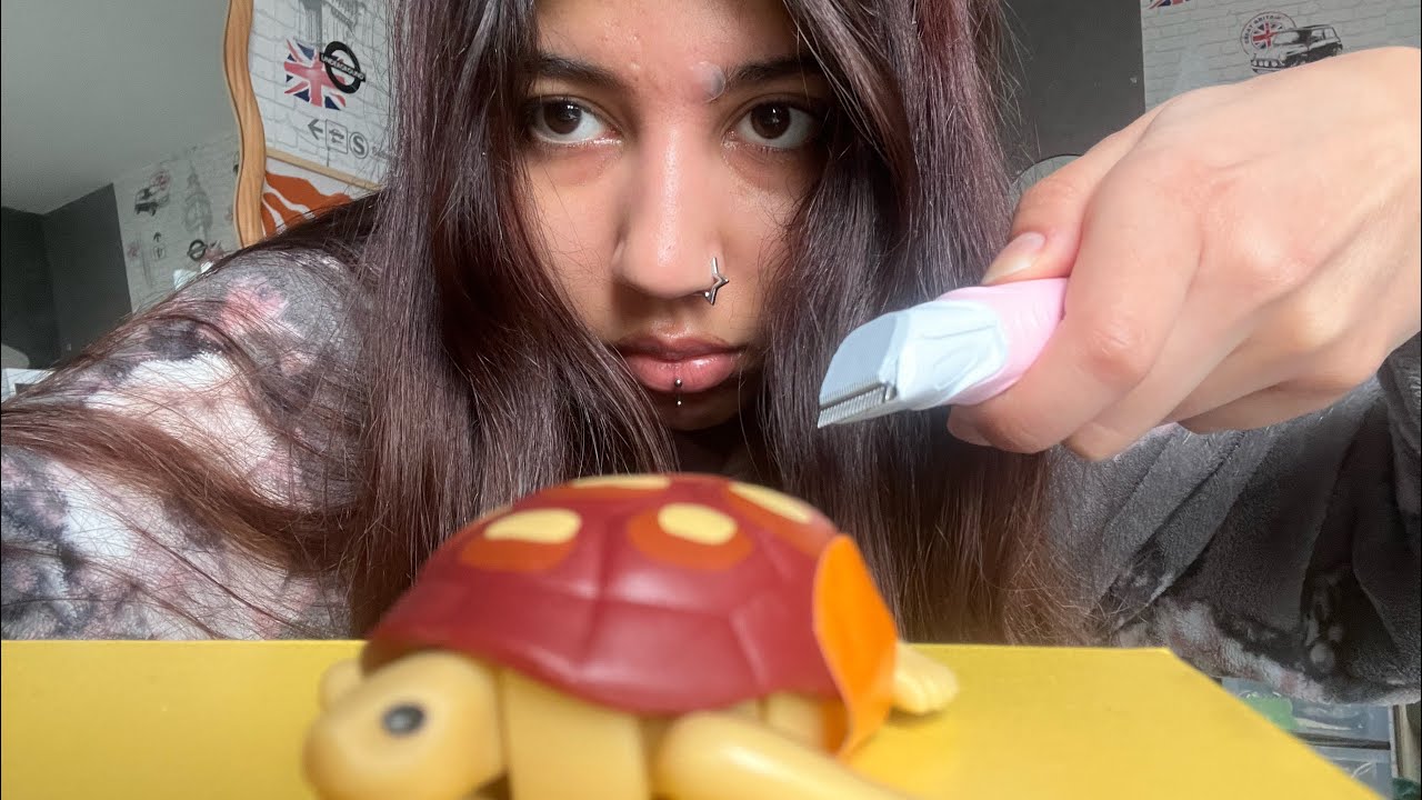 🐢 Practicing surgery on my turtle 
