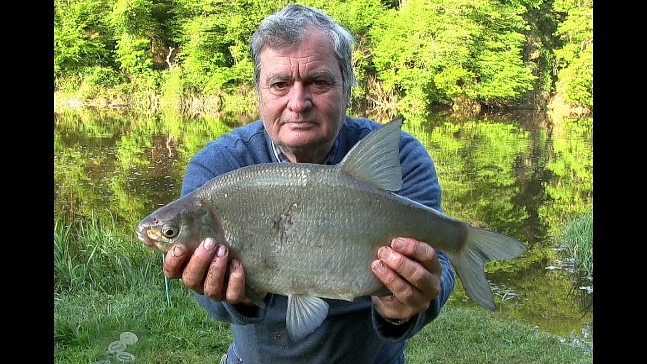 Fishing for Bream and Carp May 2018 - Creuse, France