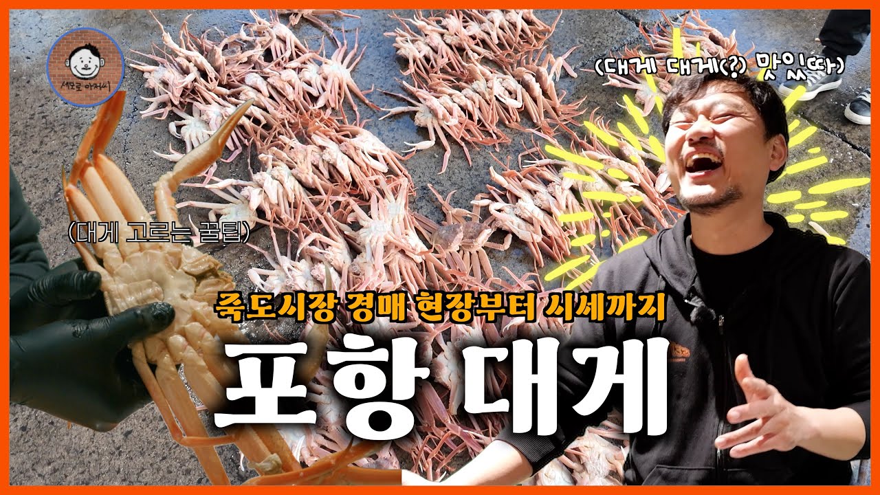 포항 죽도시장 대게 경매 현장 100마리 40만원이라고?