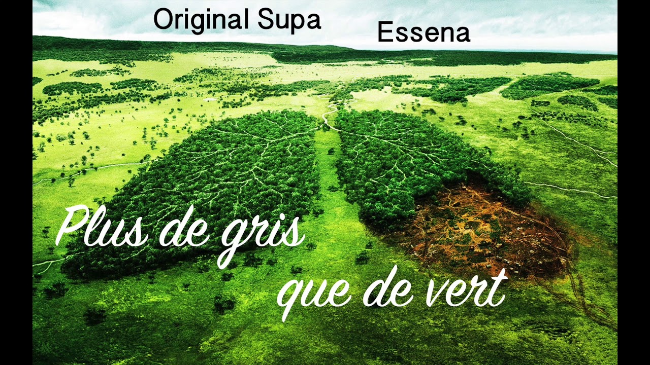 Plus de gris que de vert - Original Supa et Essena