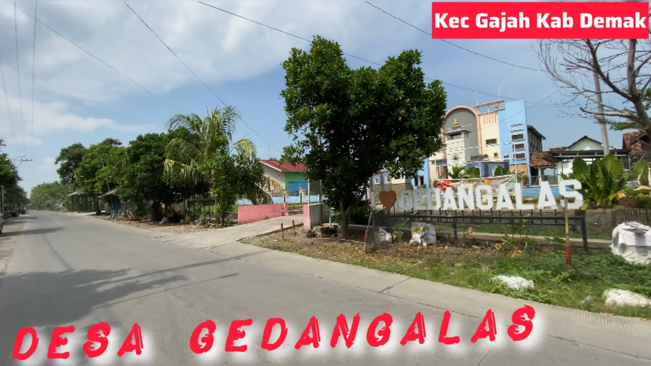 DESA GEDANGALAS GAJAH DEMAK!