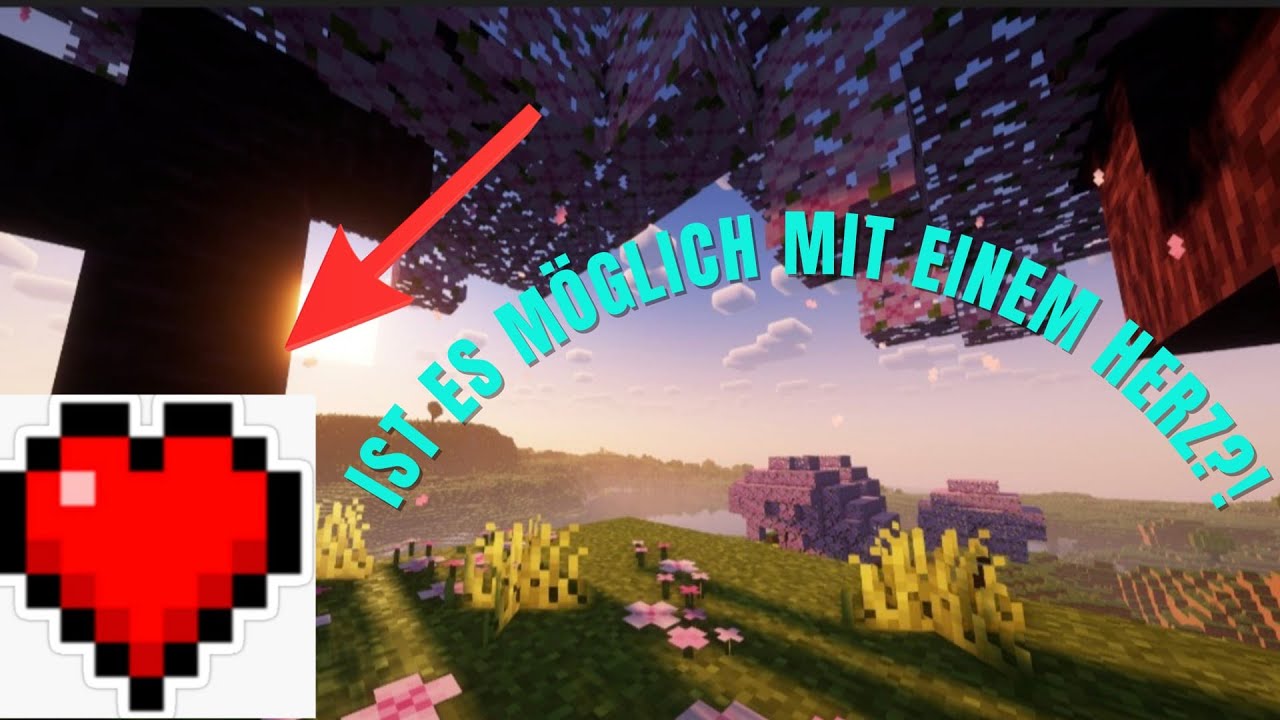IST ES MÖGLICH MIT EINEM HERZ MINECRAFT DURCH ZU SPIELEN?!