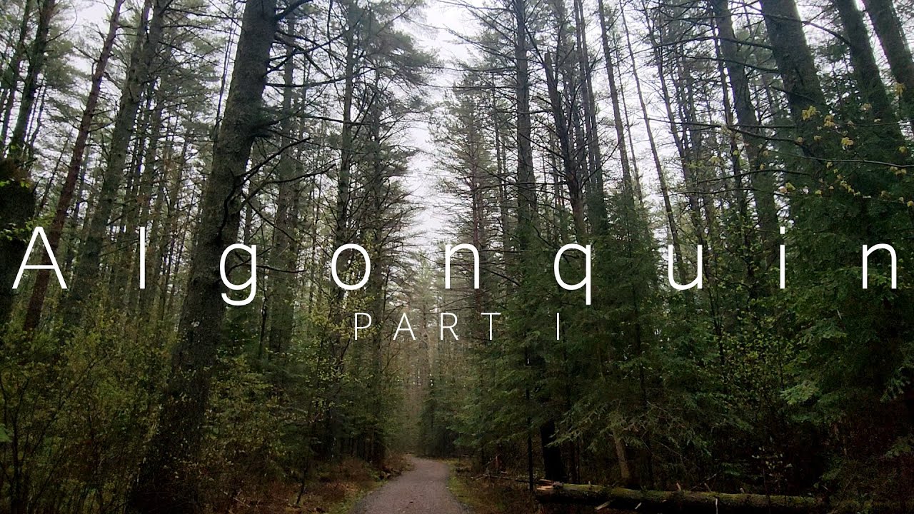 Camping Algonquin Park