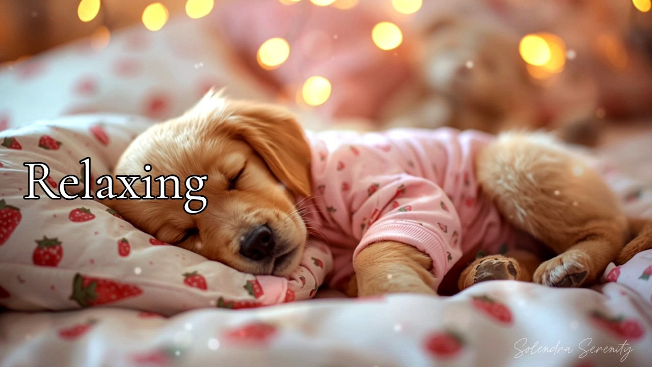 Soft Piano Instrumental for Relaxation