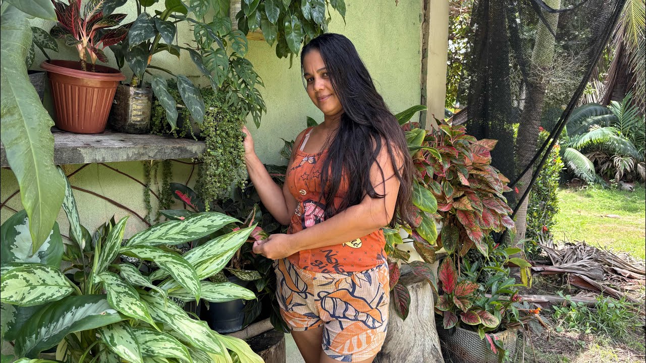TOUR NO CANTINHO DAS PLANTAS 🪴 ESTÃO LINDAS E MARAVILHOSAS 🌸