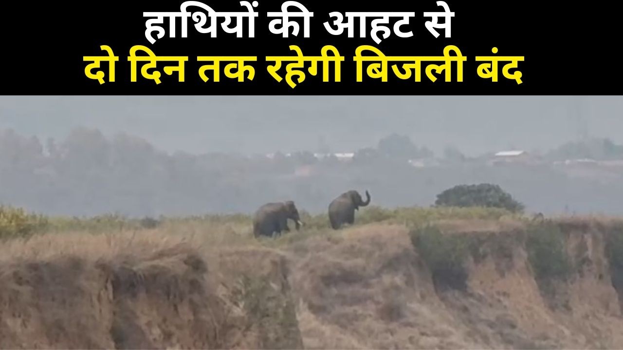 हाथियों की आहट से दो दिन तक रहेगी बिजली बंद, वन विभाग अलर्ट मोड पर आया...