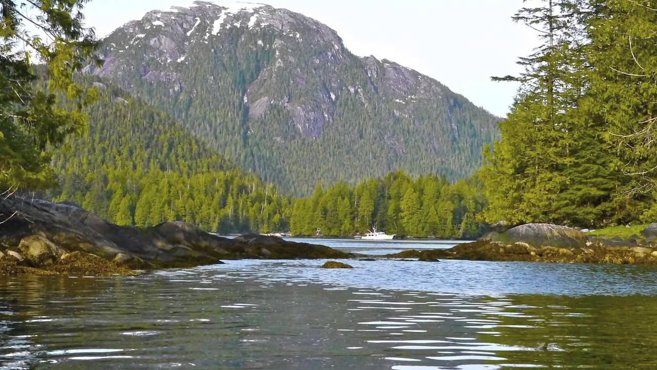 Venture to Alaska. Part 1 - Vancouver Island to Tracy Arm