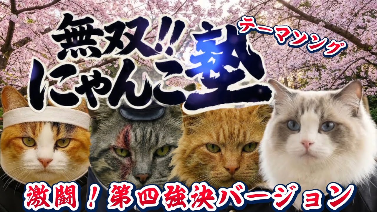 【テーマソング】無双‼️にゃんこ塾🐾激闘！第四強決バージョン💥💥💥😺