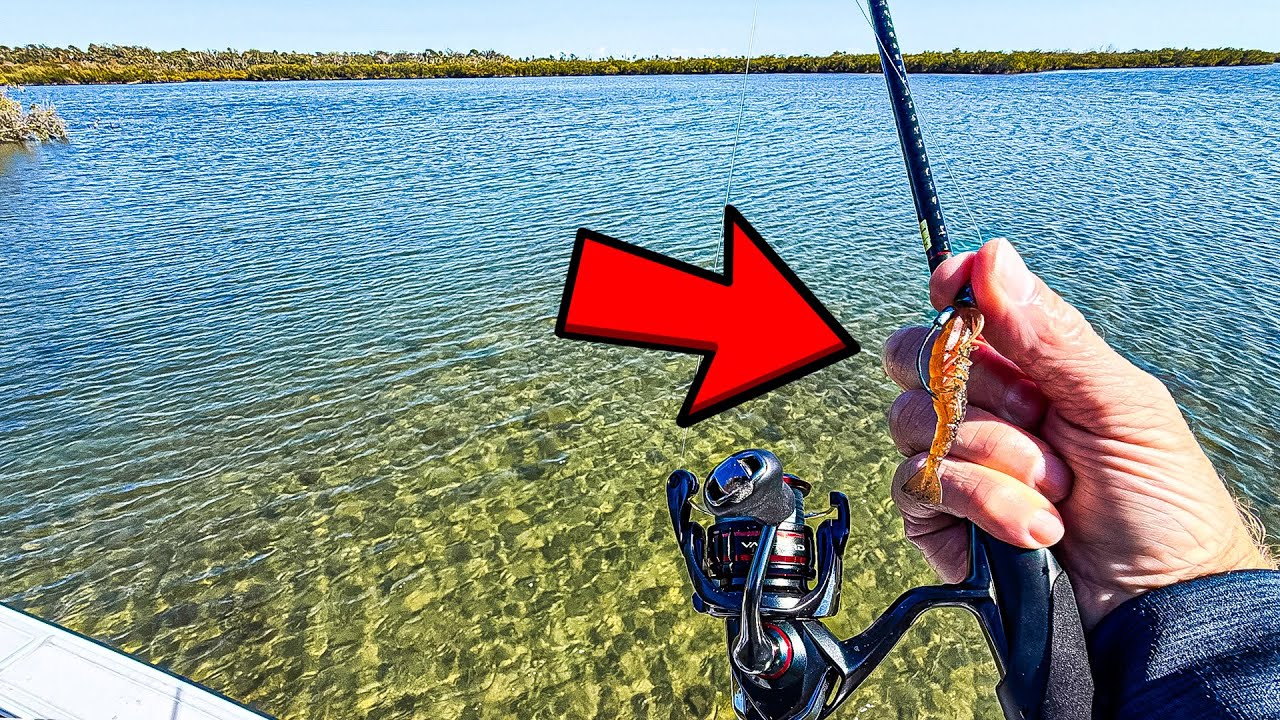 Cold Front Fishing Challenge in Mosquito Lagoon - I Didn’t Expect This