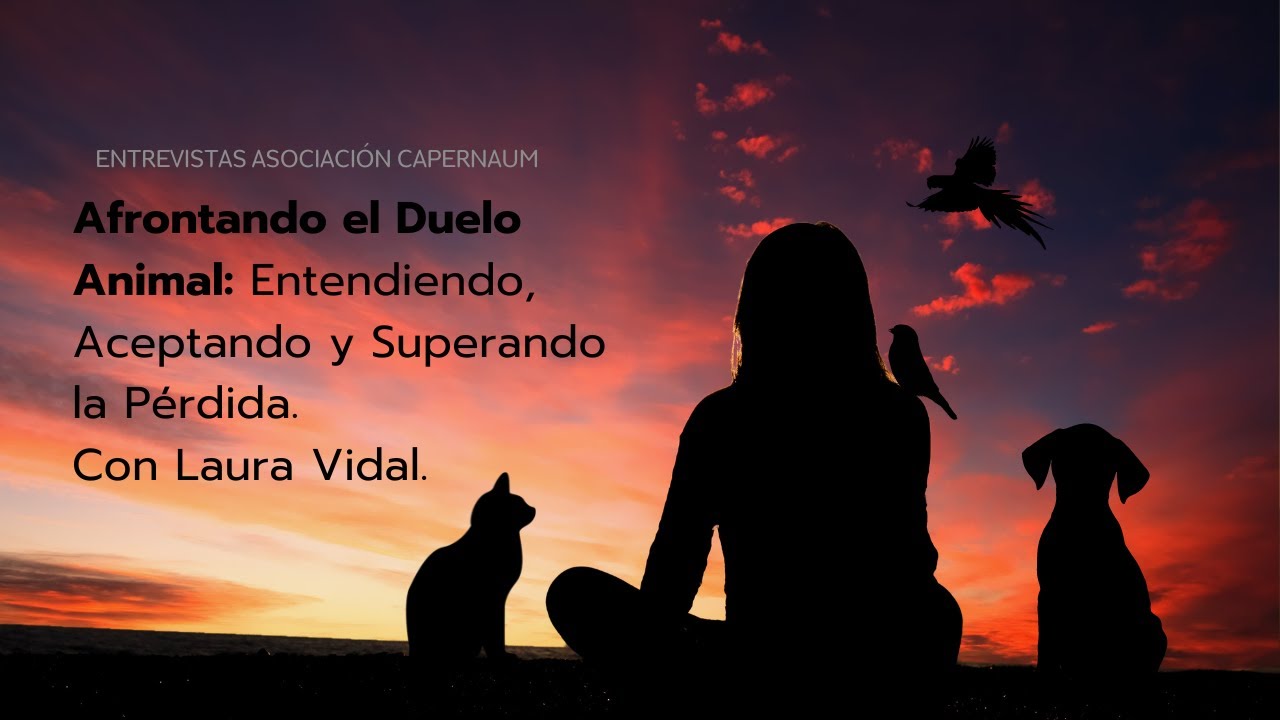 Afrontando el Duelo Animal: Cómo Entender, Aceptar y Superar la Pérdida con Laura Vidal