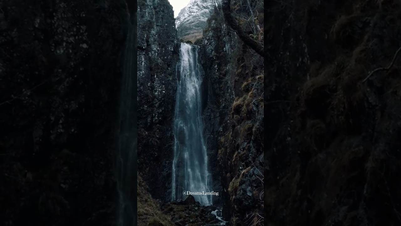 Cascata rilassante per dormire - Suono dell'acqua e canto degli uccelli nella foresta incantata