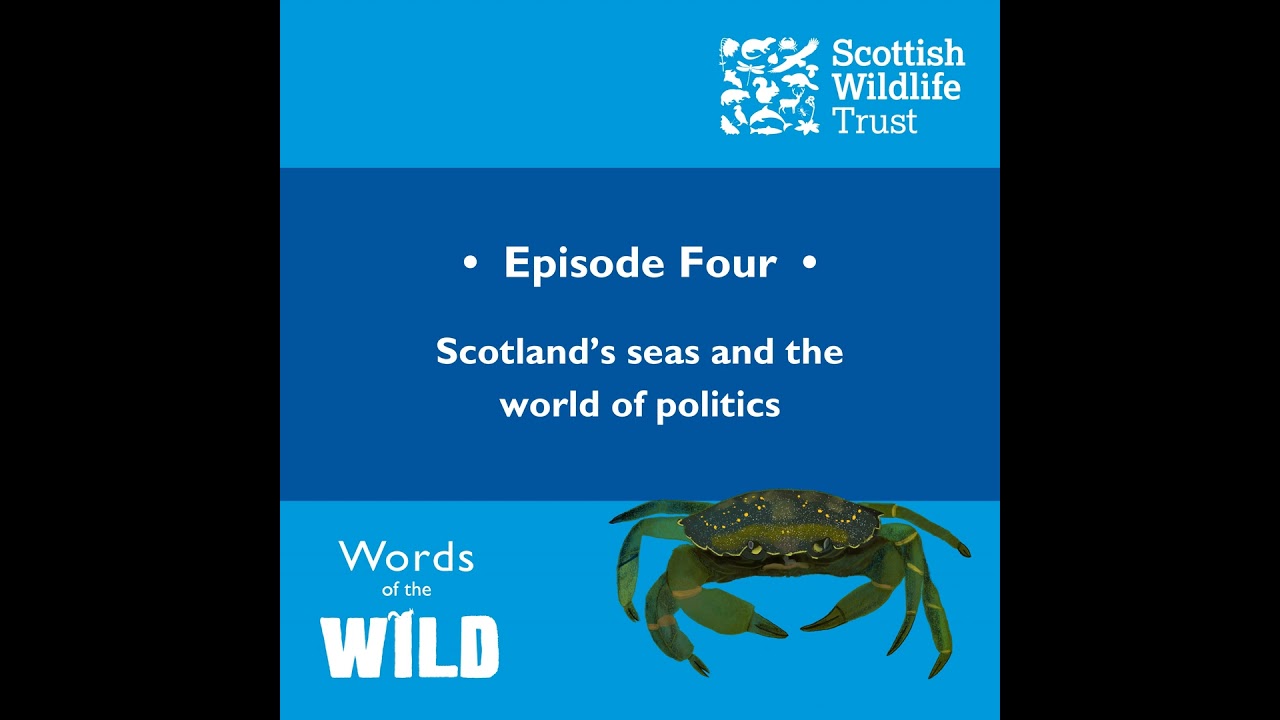 Scotland’s Seas and the World of Politics