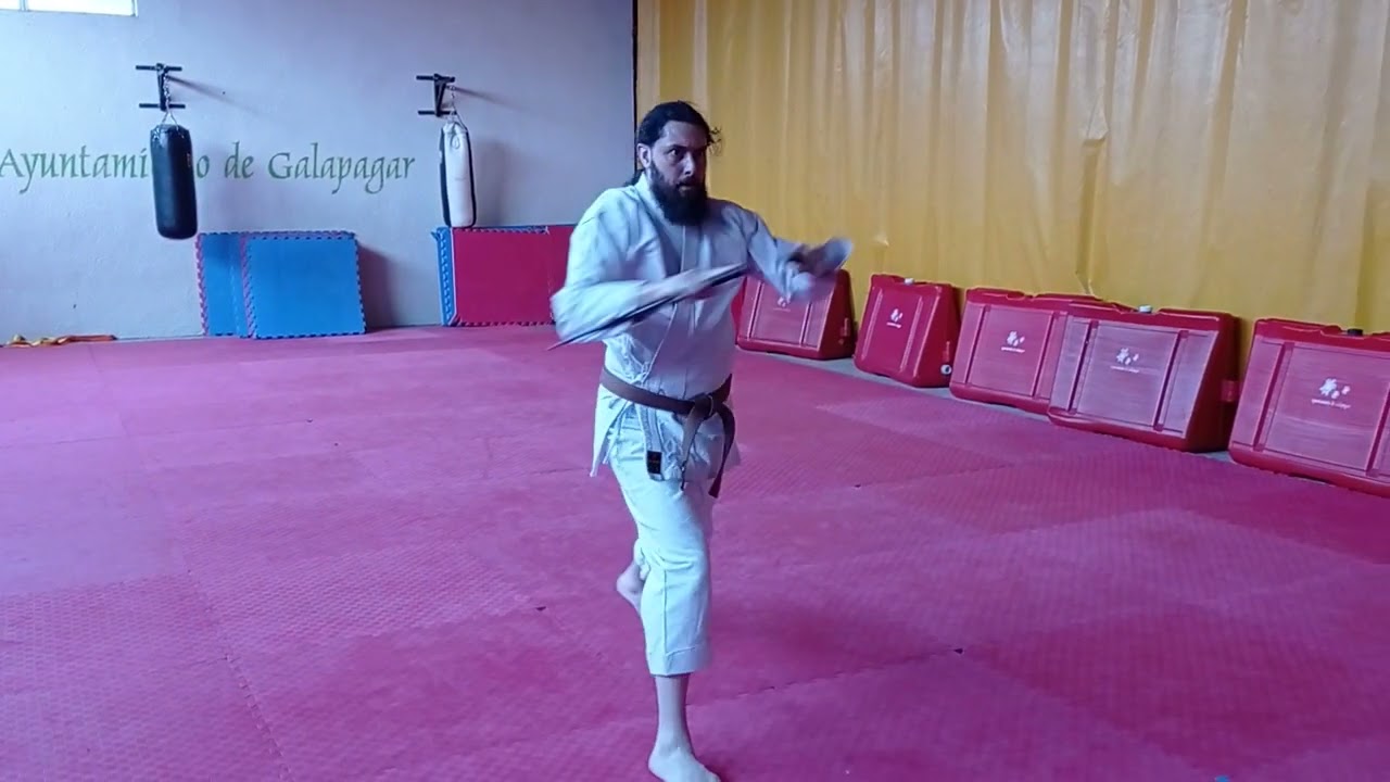 Nicho Sai: Kata de kobudo para Sai