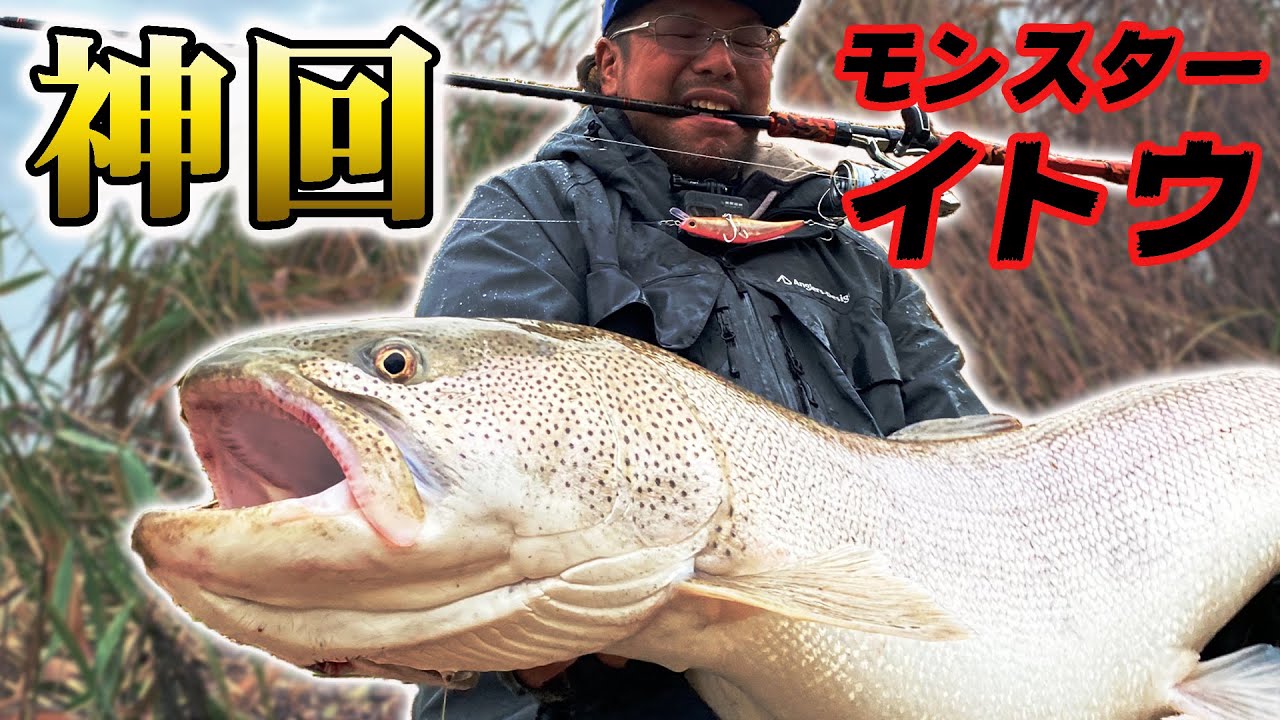 激闘！大河のモンスターイトウ１１３cm【Fighting to Monster Sakhalin Taimen 