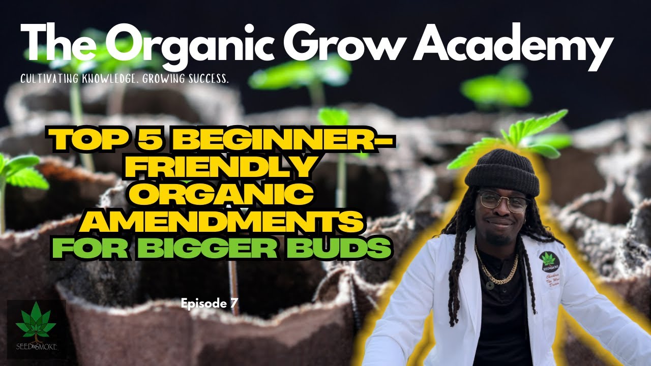 🌱 Top 5 Beginner-Friendly Organic Amendments for Bigger Buds 🌱