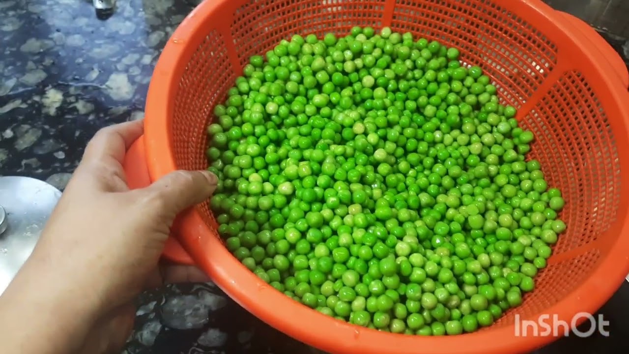 মটরশুঁটি সংরক্ষণের সঠিক উপায়। Peas preservation. সারা বছরের মটরশুঁটির সংরক্ষণ। কড়াইশুঁটি সংরক্ষণ