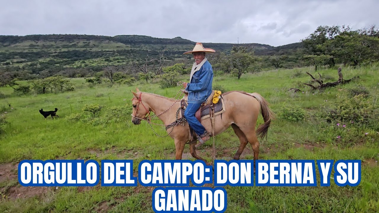 ORGULLO del CAMPO: Don Berna y su GANADO | DISFRUTANDO el TIEMPO de AGUAS | PARTE 2| RancheandoAndo