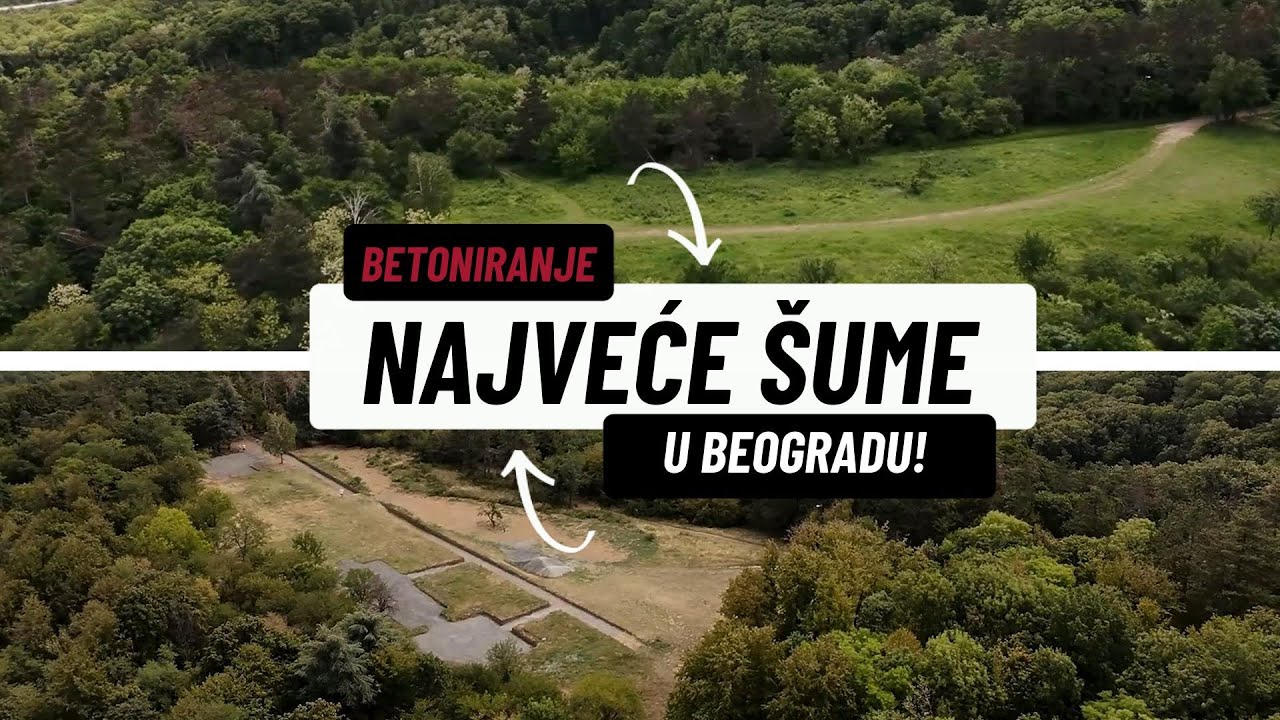 Stepin lug: Betoniranje NAJVEĆE ŠUME Beograda?!