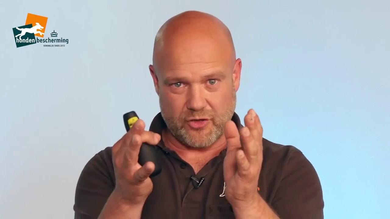 Ten minutes on Dogs – Train the trainer