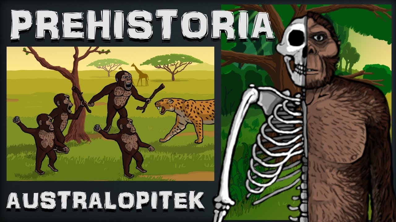 Australopitek - Chodząca 