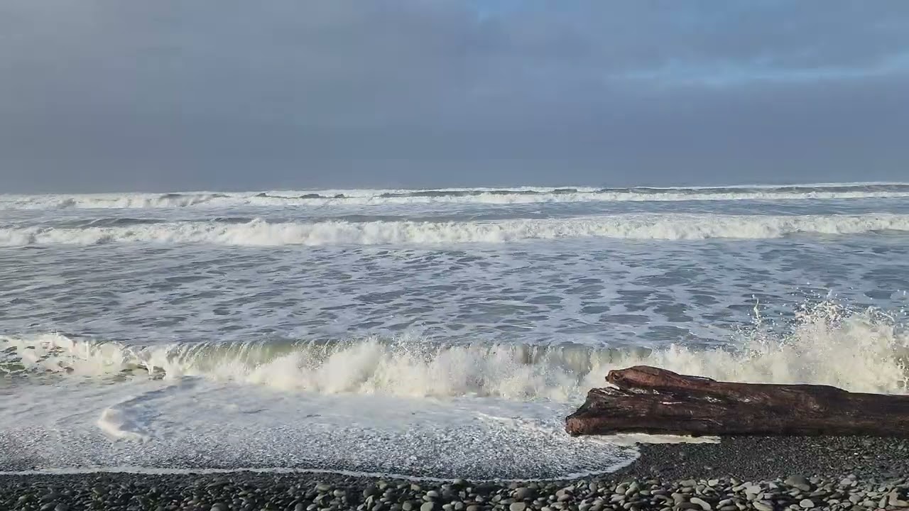 Kalaloch - Beach 1 - King Tide