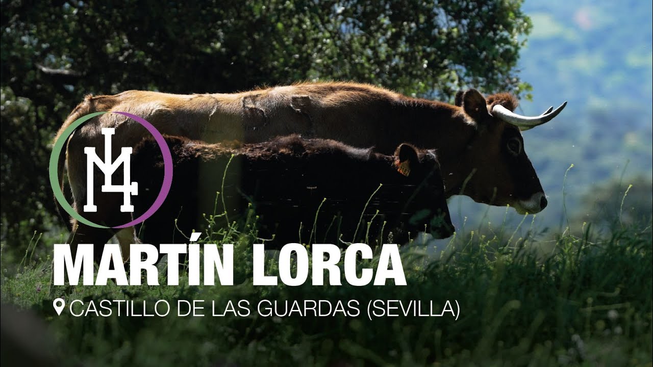 Un paseo por la ganadería sevillana de Martín Lorca