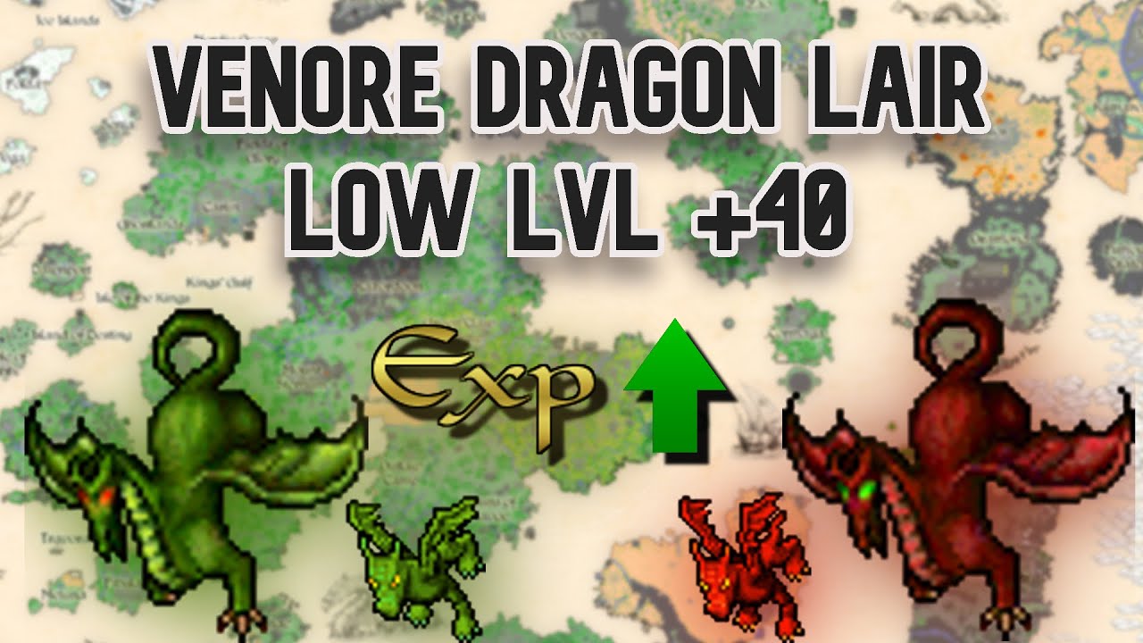 Free account hunt // ZONAS FREE // Zonas de caza free // Venore Dragon Lair // Low lvl +40 // EXP