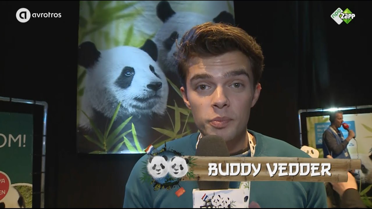 Buddy Vedder verwelkomt de panda's Wu Wen en Xing Ya | Pandajournaal