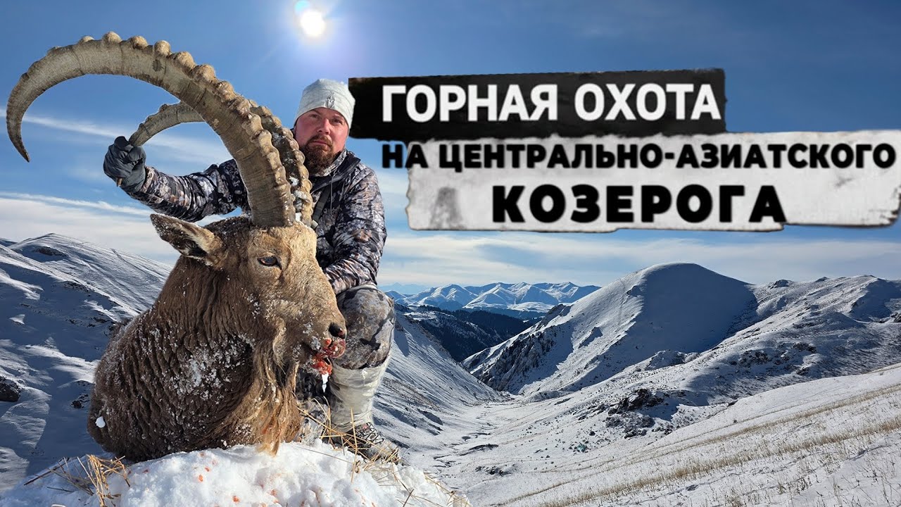 Горная охота на Центрально-Азиатского козерога. Mountain hunting for Central Asian ibex
