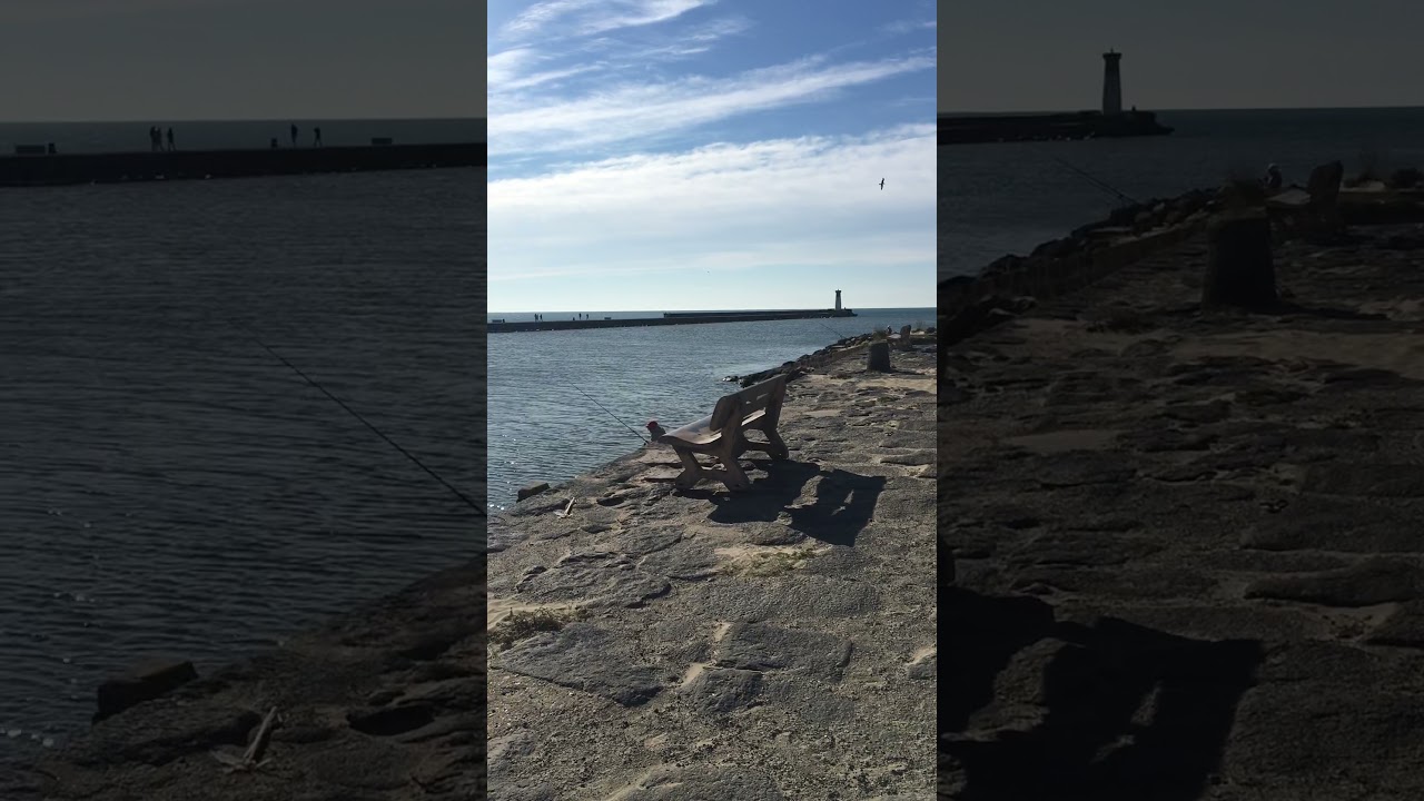 Balade  à la plage de la Tamarissiere