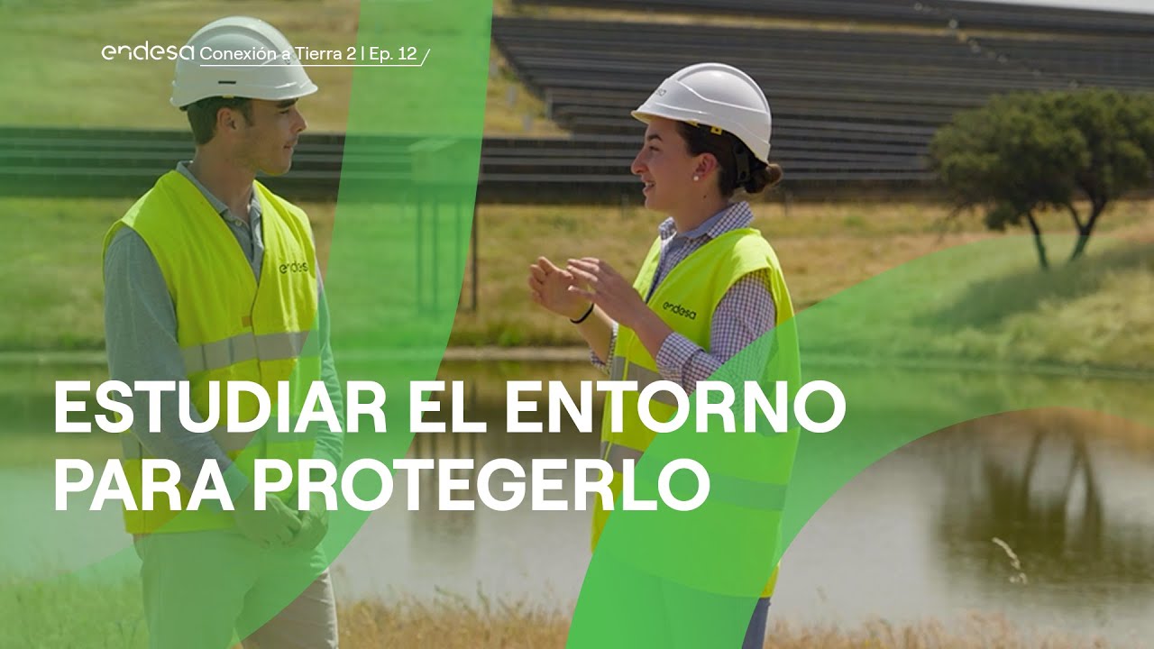 Cómo se protege la naturaleza antes de construir una instalación renovable