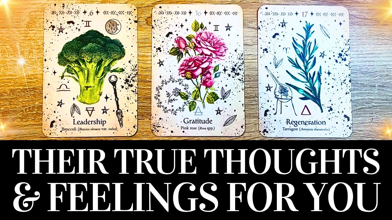❤️🔥 THE HONEST TRUTH About Their Thoughts & Feelings 💞 PICK A CARD ❤️🔥 Love Tarot Reading