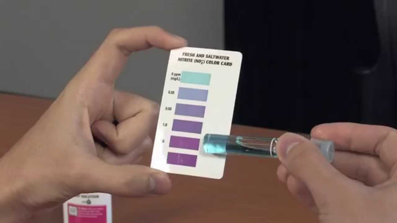 Using the API Nitrite Test Kit - How To | Big Al's