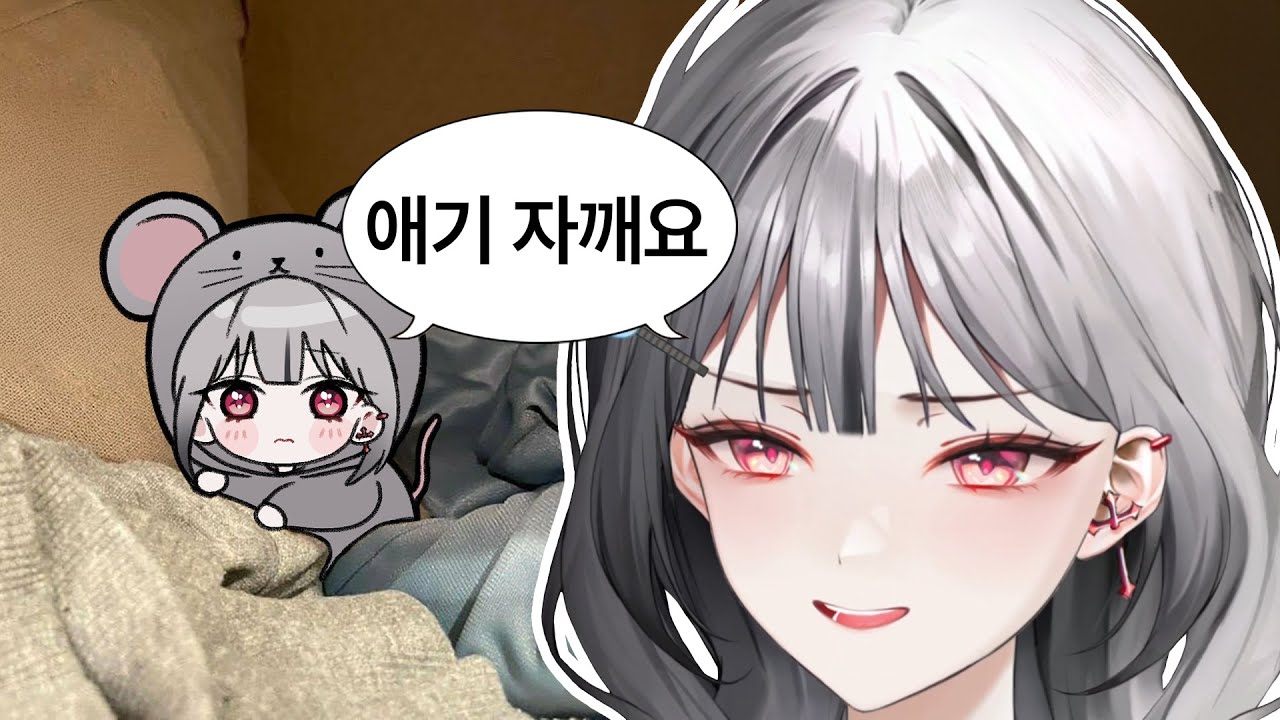 애기 회색쥐 [오화요]