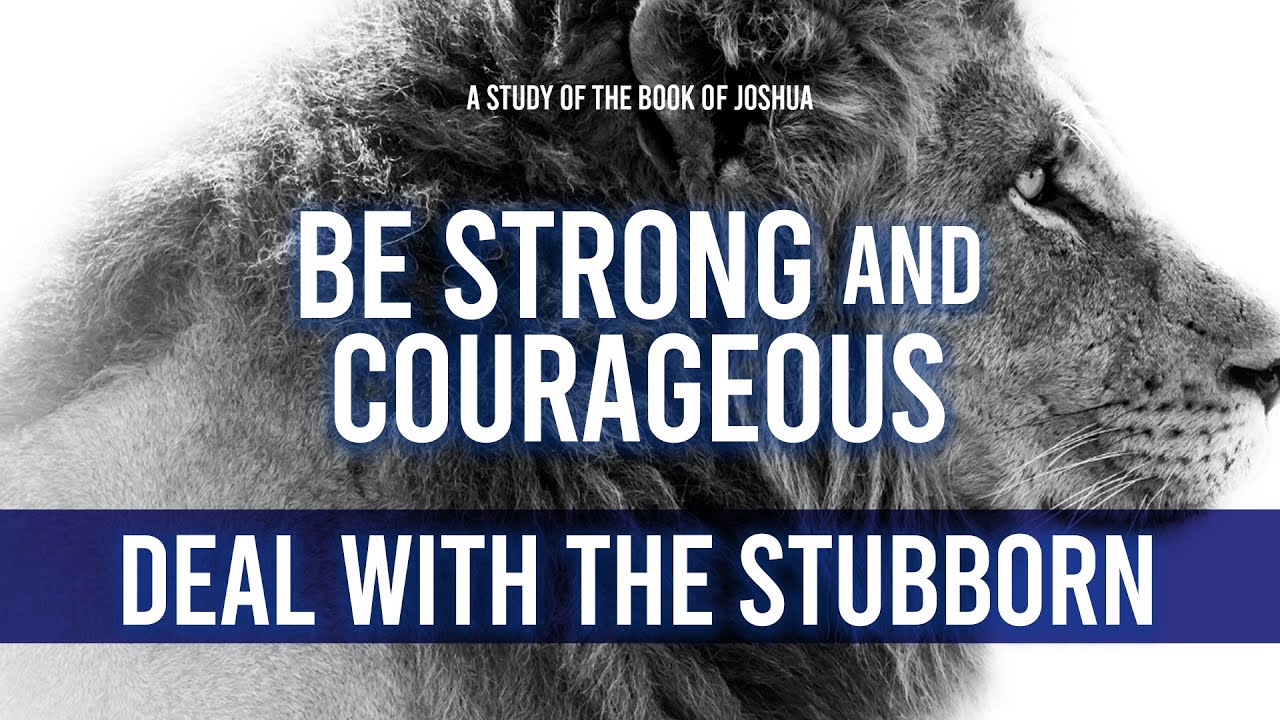 08102025 Deal with the Stubborn - David Bromley