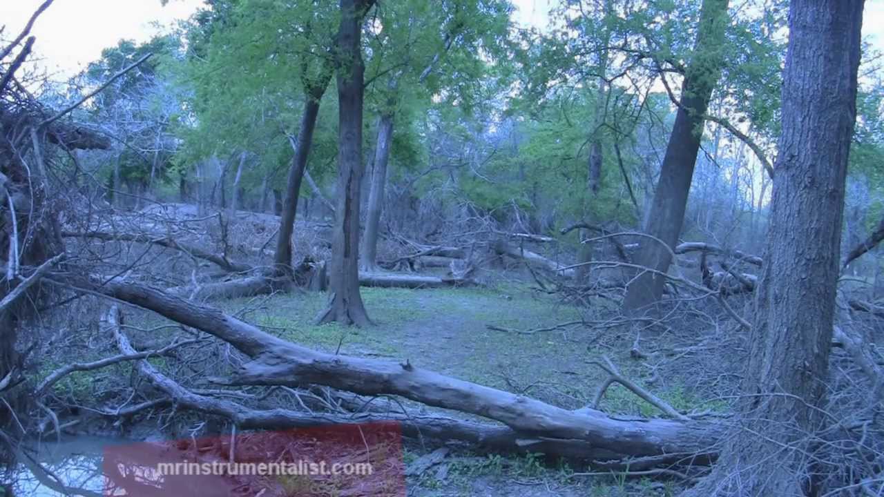 Classical Music with beautiful footage (Addicks Reservoir)