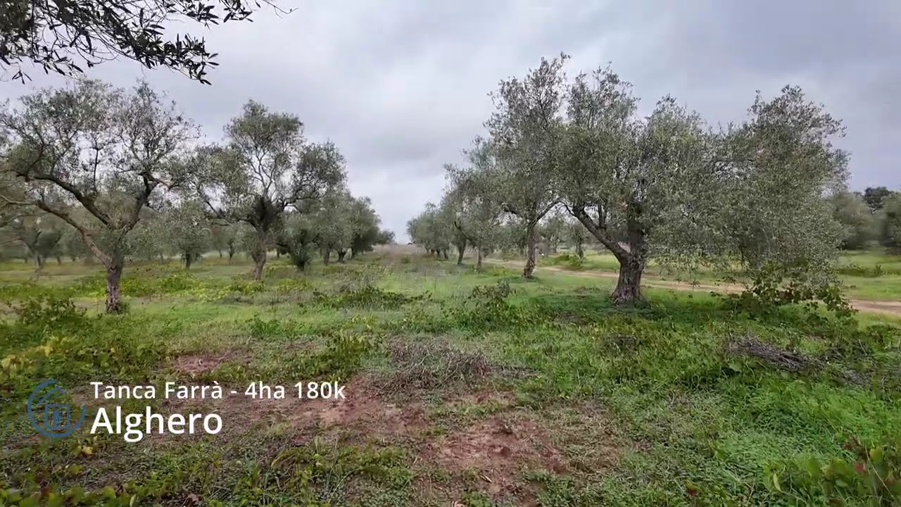 Plot of Land for sale - Alghero - 4 hectares with project approved