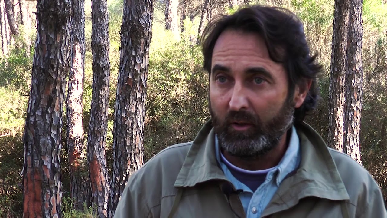 De cerca  aprovechamiento forestal 2020