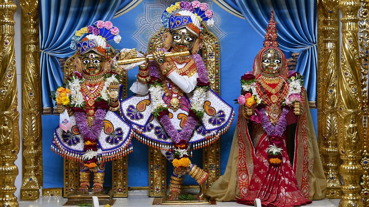 Daily Darshan | છ ધામના દેવોના આજના દિવ્ય શણગારના દર્શન તા:- ૦૮ /- ૦૨ /- ૨૦૨૬ | Nitya Darshan