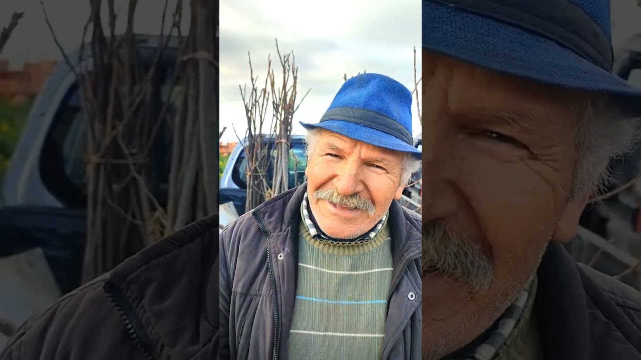 @Rencontre avec un paysan producteur de figuier