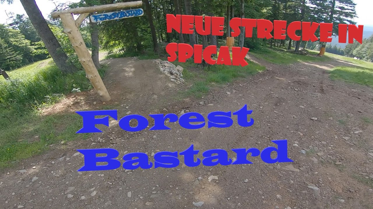 Spicak Bikepark | Neue Strecke Forest Bastard + Black Friday 2022