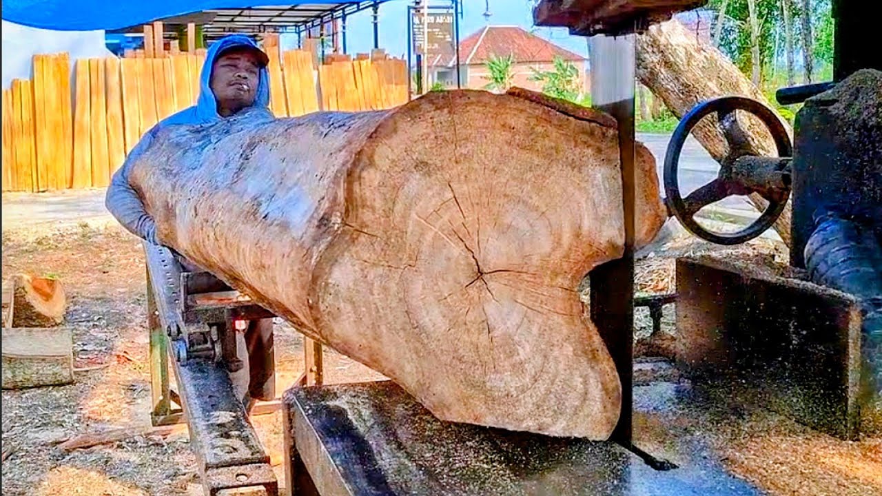 Penggergajian kayu jati dan kayu jaranan !!