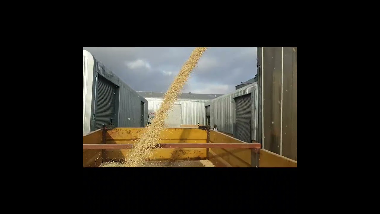 Grain Supply Chain