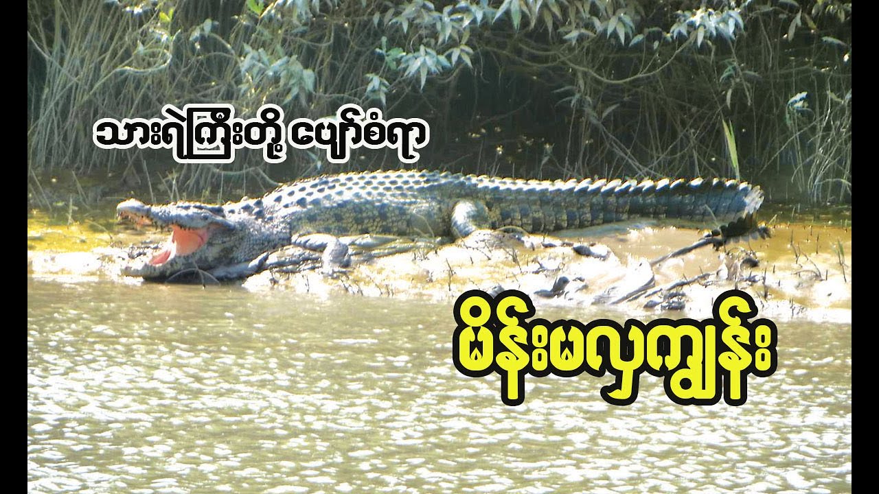 ရေဘုရင် 